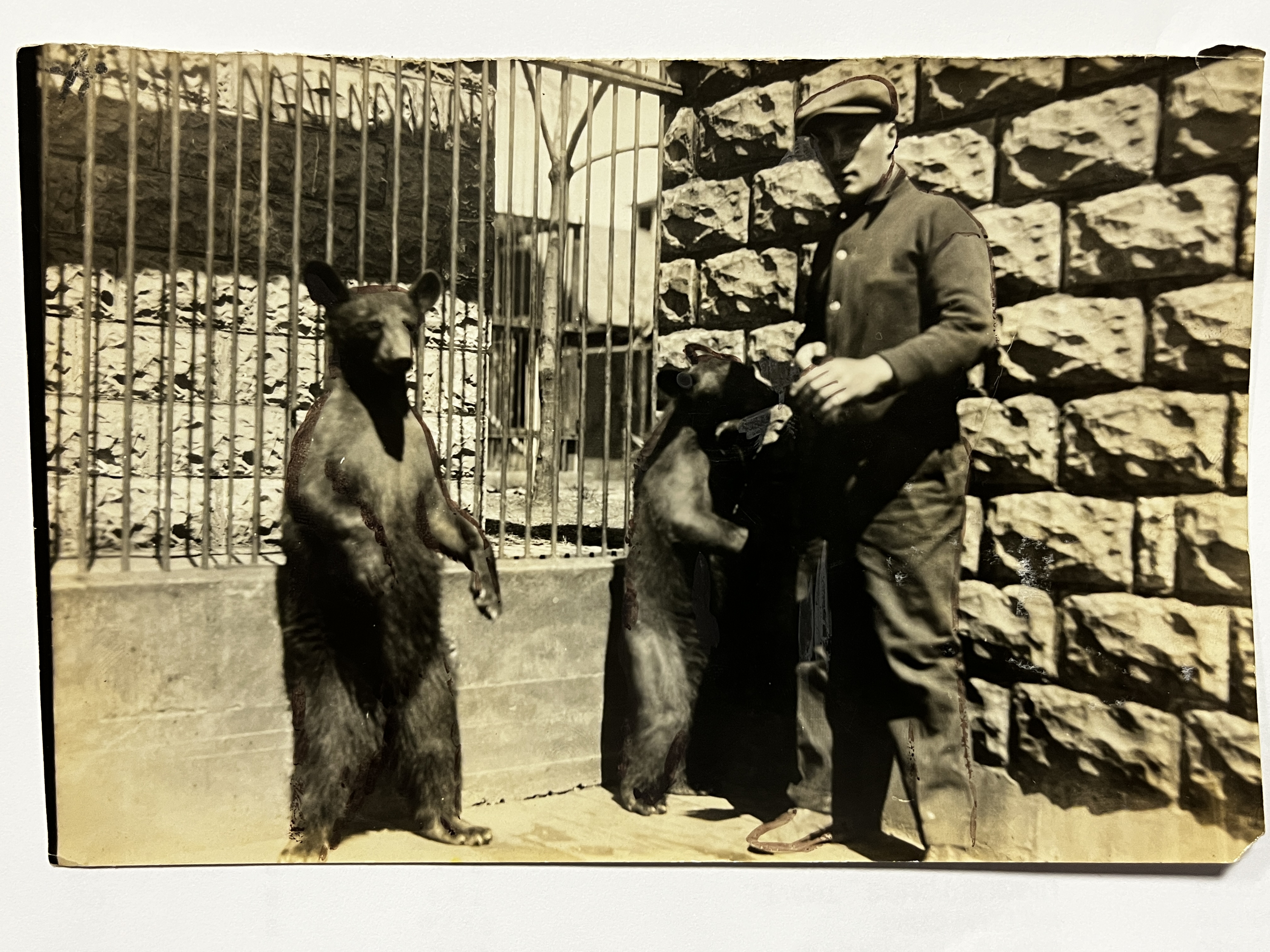 Memorial Park hosted zoo in Williamsport for years in early 1900s